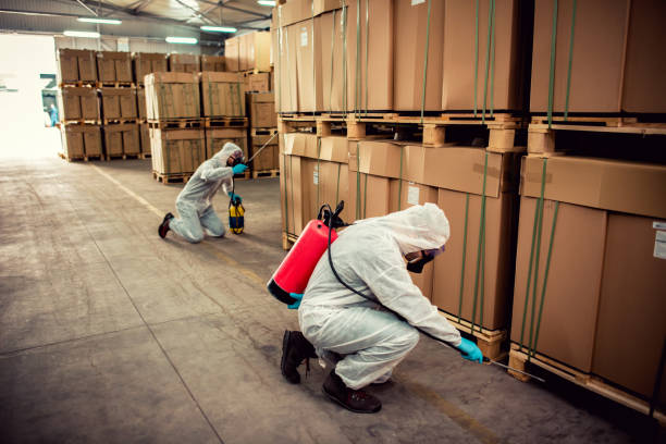 Best Flea Control Services  in Vaeboro, NC