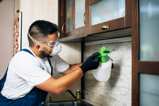 Best Flea Control Services  in Vaeboro, NC