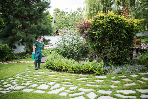 Best Best Pest Control Companies  in Vaeboro, NC
