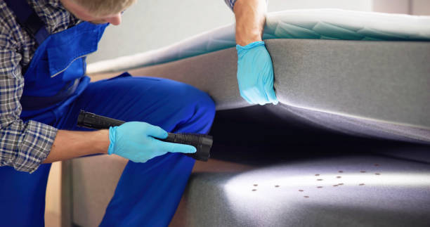 Professional Pest Control in Vanceboro, NC