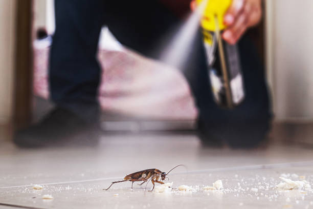 Best Exterminator Services  in Vaeboro, NC