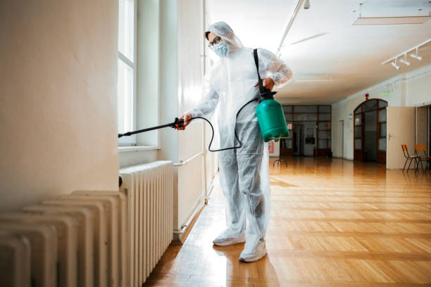 Best Mosquito Control Services  in Vaeboro, NC