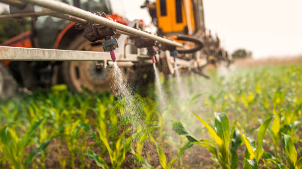 Best Commercial Pest Control Services  in Vaeboro, NC